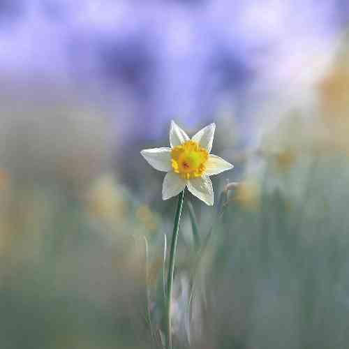  حالا حتی تووی خیالمم نمیزنم صدات نه دیگه نمیپرم به جات